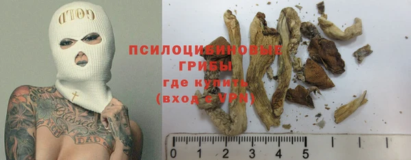 стаф Алексеевка