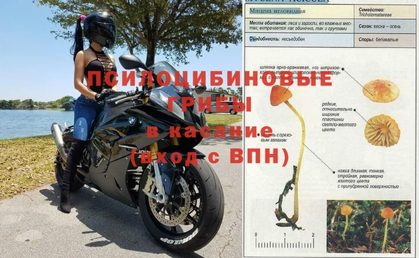 стаф Алексеевка