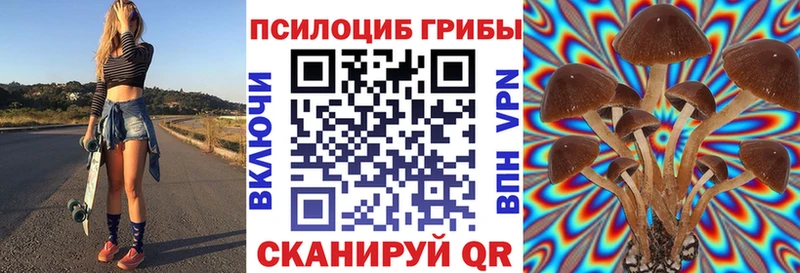 гидра онион  где найти   Льгов  Псилоцибиновые грибы Psilocybine cubensis 